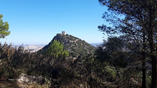 Las fotos de la ruta del castillo de Cote, en Montellano