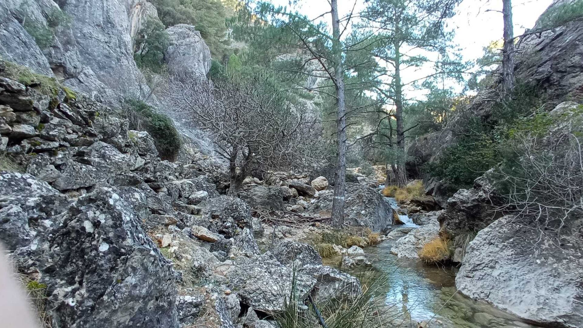 Cascadas de Guazalamanco