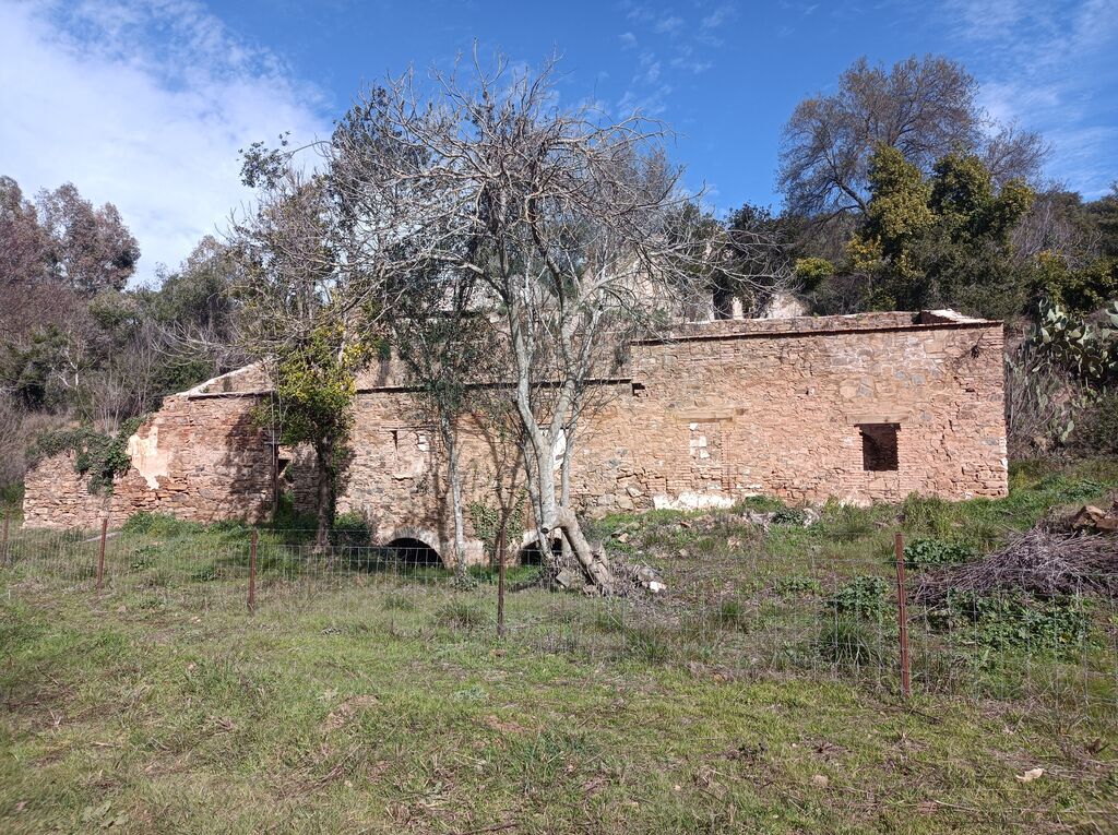 Las ruinas del Molino del Franc&eacute;s.